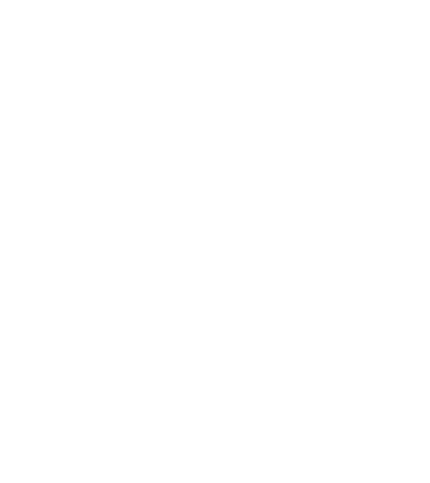 Tatadidas model galben neon pe tricou