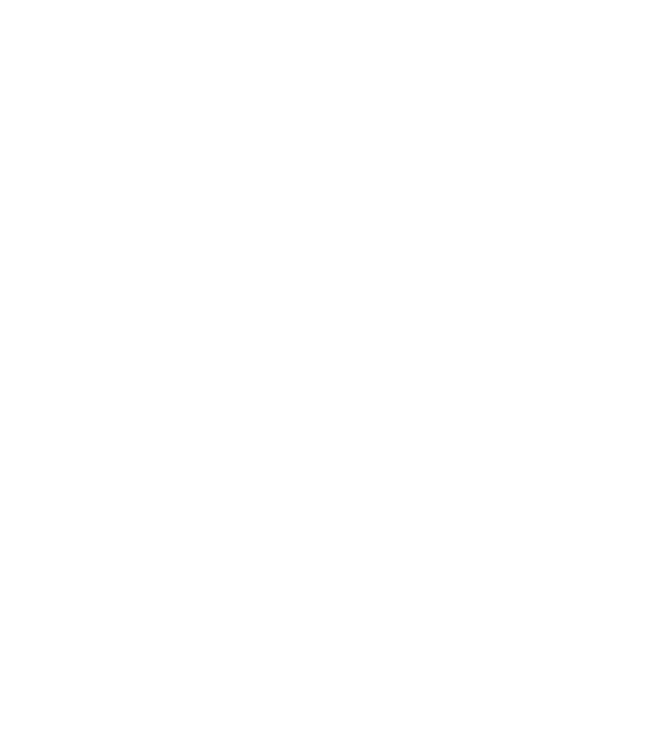 Vegan definition model negru pe tricou