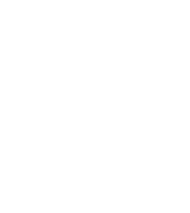 Mr 2 model negru pe tricou