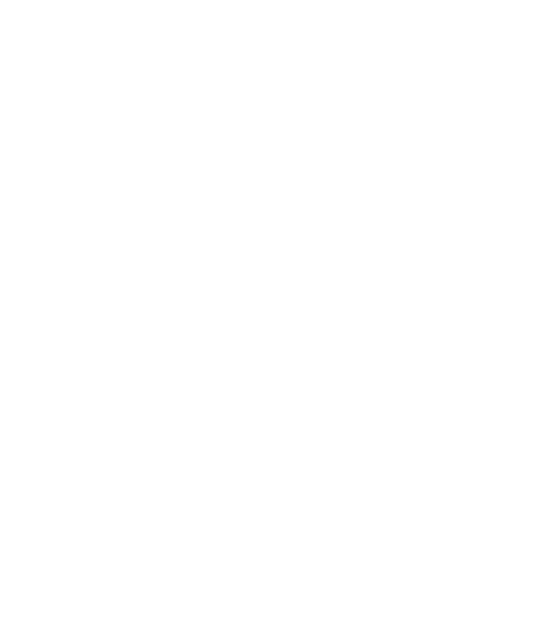 Dog Year - 140 model albastru regal pe tricou