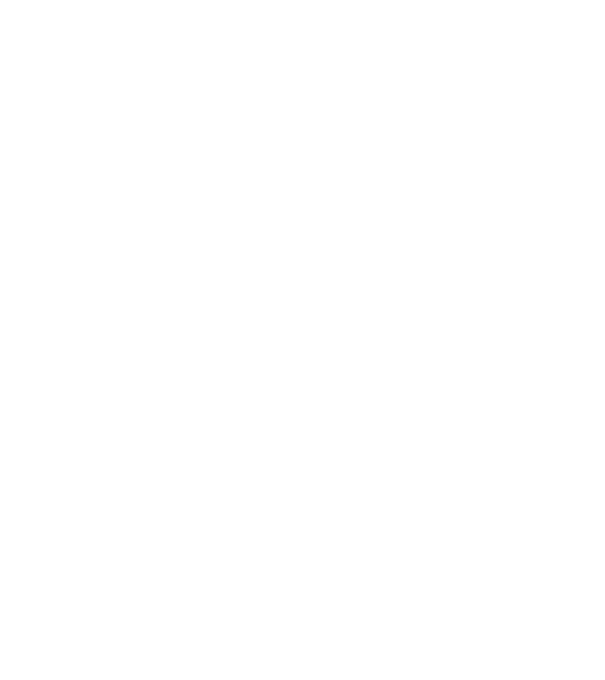 Crazy Cat Ladies are born in February model negru pe tricou