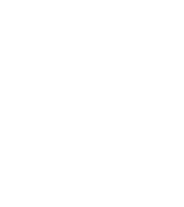 LOVE ciobănesc german model gri pe tricou