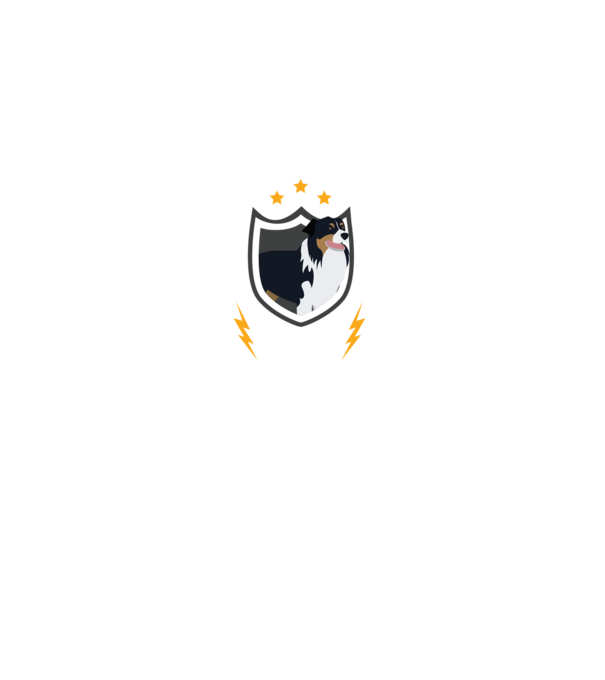 serviciu de securitate - securitate - persistență - 24 de ore pe zi model negru pe tricou