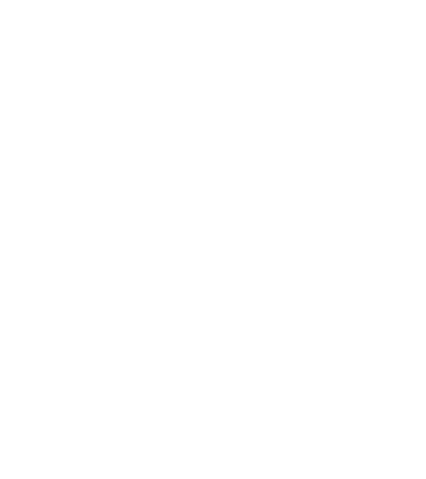 I do my own stunts model negru pe tricou