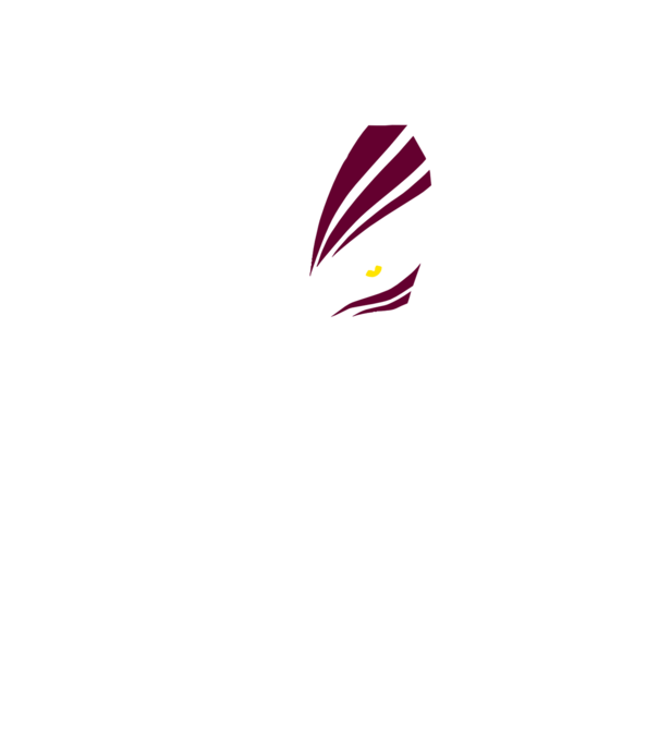 Ichigo Hollow Mask model negru pe tricou