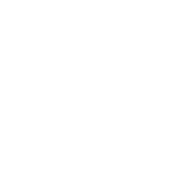 Chest day model turcoaz pe tricou