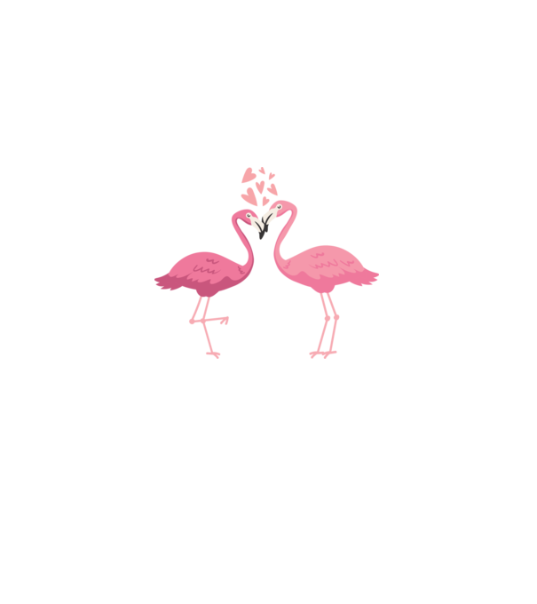 FLAMINGO ÎNDRĂGOSTIȚI model alb pe tricou