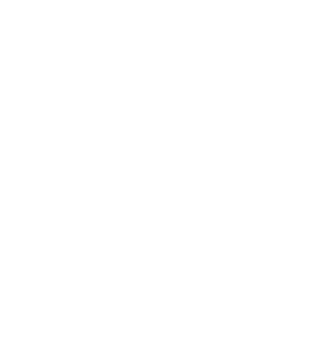 All men are created equal but only the best are born in february model negru pe tricou