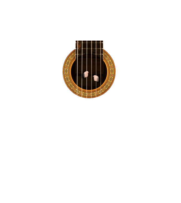 Guitar prison model gri închis pe tricou