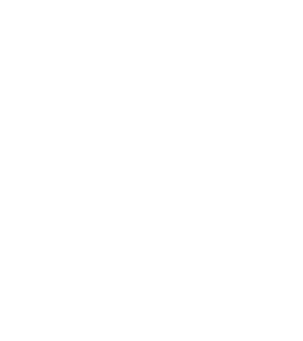Bug fixed model albastru închis pe tricou
