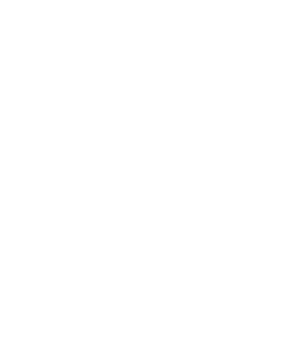 Cei mai buni au gemeni model negru pe tricou
