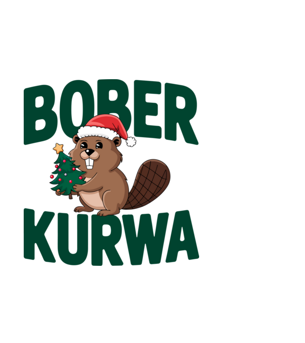 Bober kurwa xmas model albastru deschis pe tricou
