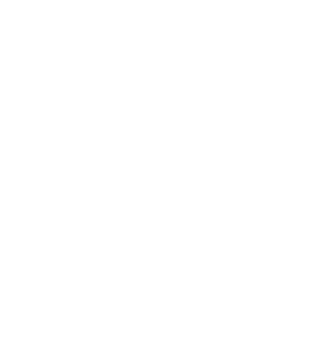Mr 2 model negru pe tricou