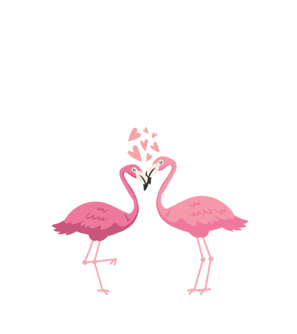 FLAMINGO ÎNDRĂGOSTIȚI model alb pe tricou