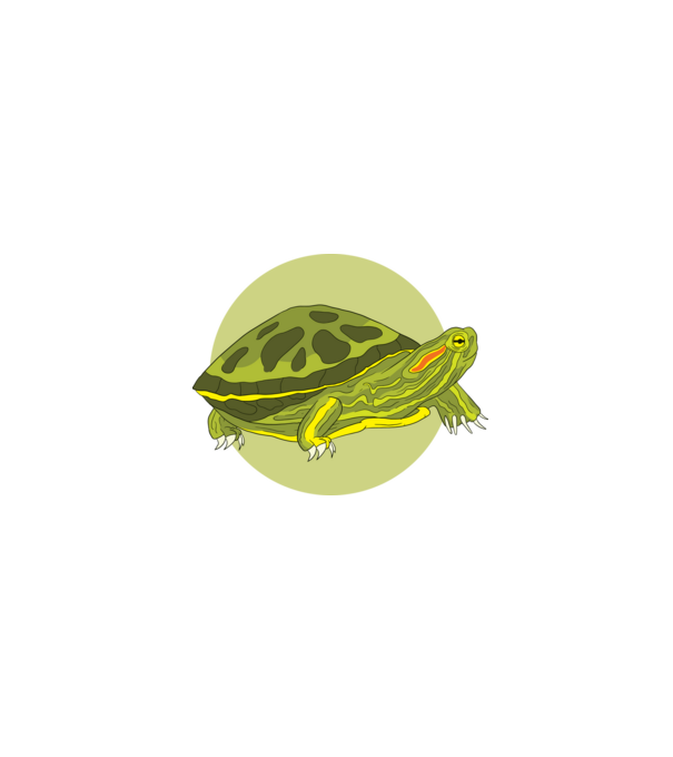 Turtle model negru pe tricou