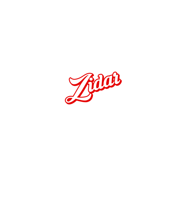 Cel mai bun ZIDAR din lume model negru pe tricou