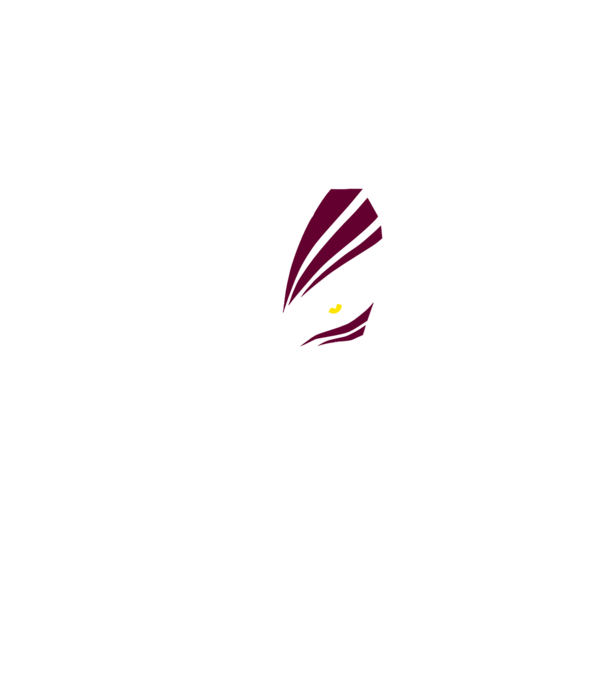 Ichigo Hollow Mask model negru pe tricou