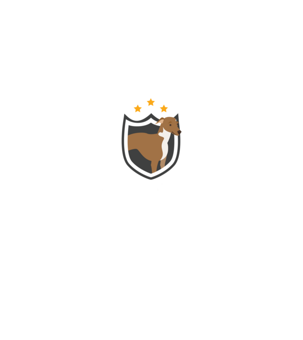 serviciu de securitate - securitate - persistență - 24 de ore pe zi model negru pe tricou
