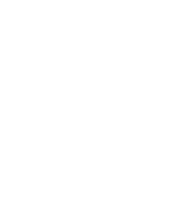 Bunicdidas model alb pe tricou