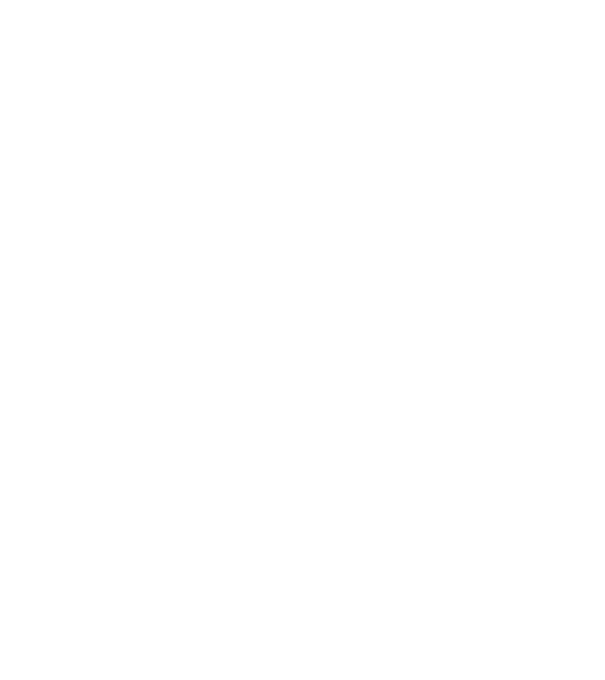 România Dracula 2 model alb pe tricou