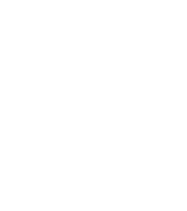 Cei mai buni au gemeni model negru pe tricou