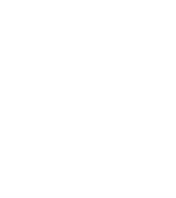 Cei mai buni au gemeni model negru pe tricou