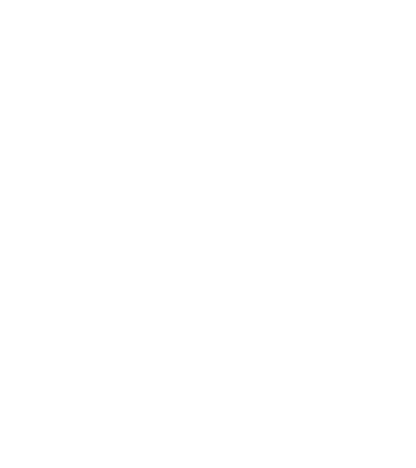 Nimeni nu e perfect, dar șoferii de dube sunt foarte aproape model negru pe tricou