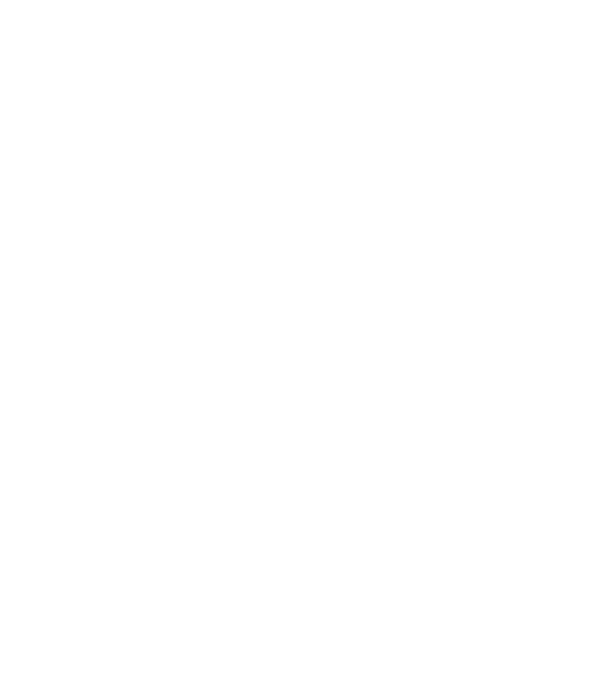 nimeni nu e perfect, dar stăpânii de beagle sunt foarte aproape model negru pe tricou