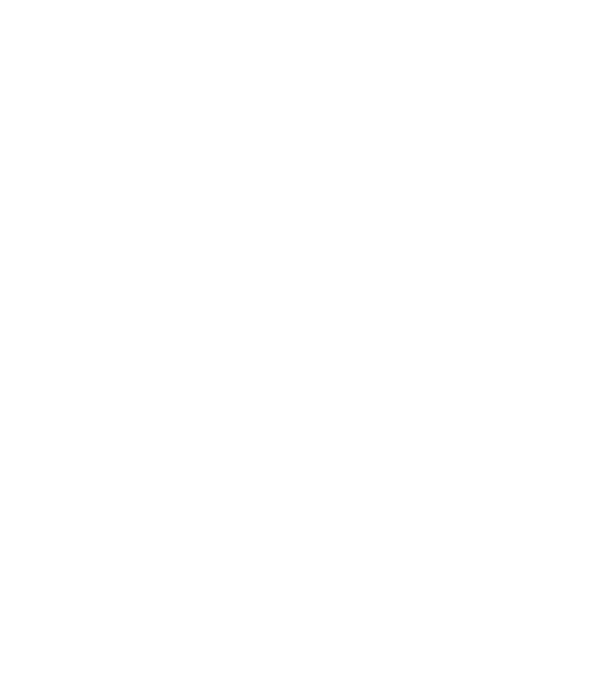 Crazy Cat Ladies are born in February model negru pe tricou