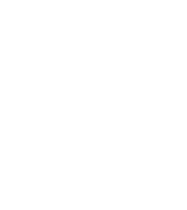 Vintage Dude - 10 model gri pe tricou