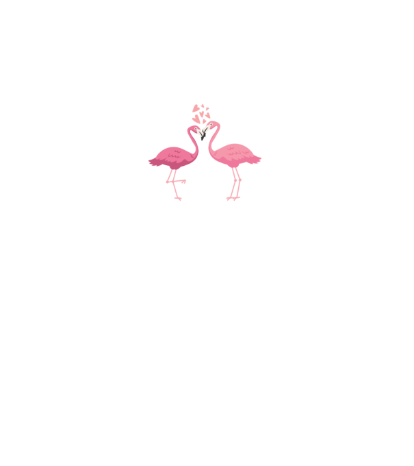 FLAMINGO ÎNDRĂGOSTIȚI model alb pe tricou