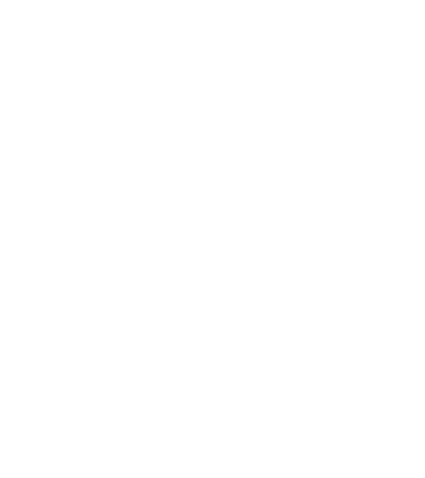 Bug fixed model negru pe tricou