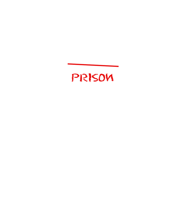 Back to prison - școală model negru pe tricou