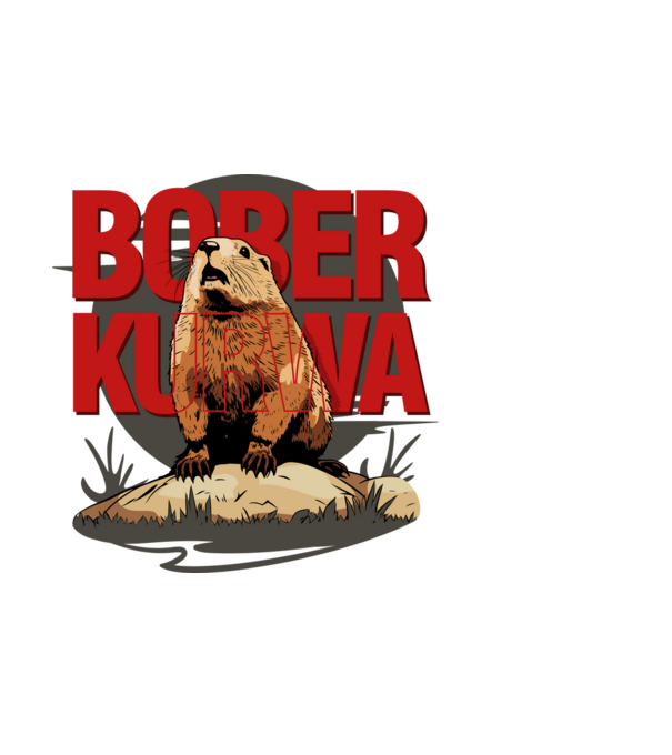 BOBER model negru pe tricou