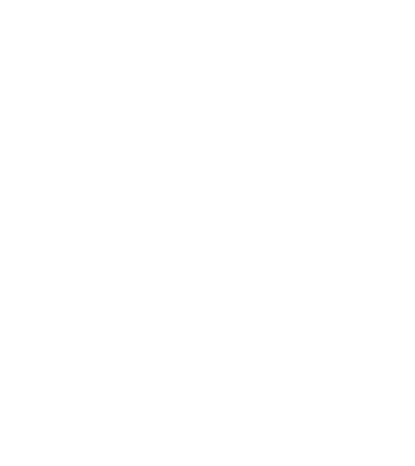 All men are created equal but only the best are born in february model negru pe tricou