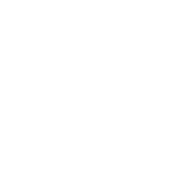 Crazy Cat Ladies are born in April model negru pe tricou