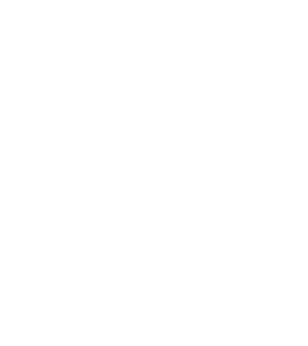 EarthLogo model negru pe tricou