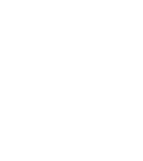 Camion 2. model verde neon pe tricou
