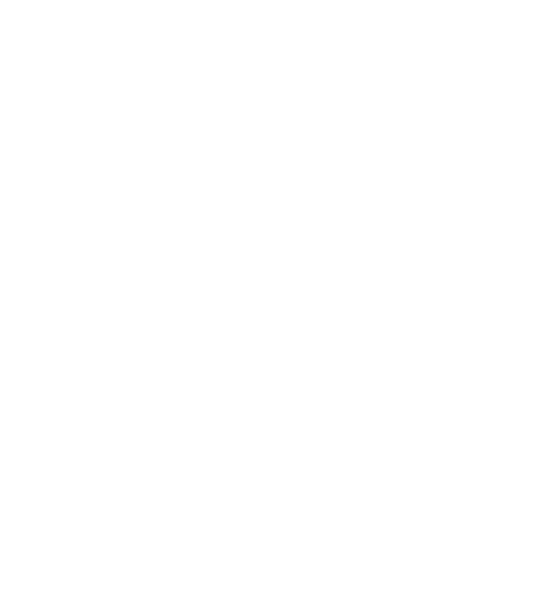 LOVE Border Collie model negru pe tricou