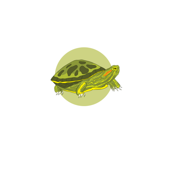 Turtle model negru pe tricou