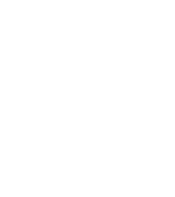Mrs 2 model negru pe tricou