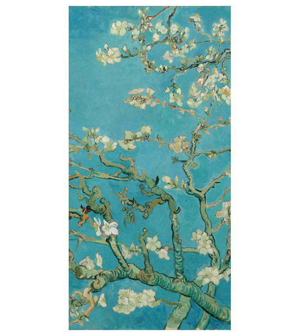 amandelbloesem van gogh model alb pe tricou
