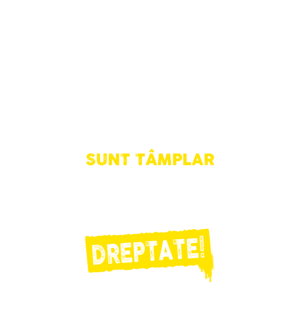 Sunt tâmplar, ca să economisim timp, să reținem că am întotdeauna dreptate model negru pe tricou