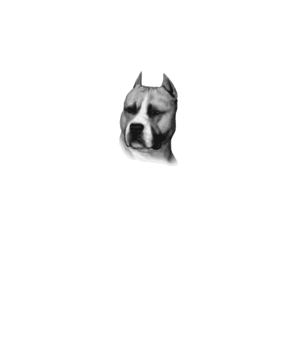 Staffordshire Terrier model alb pe tricou