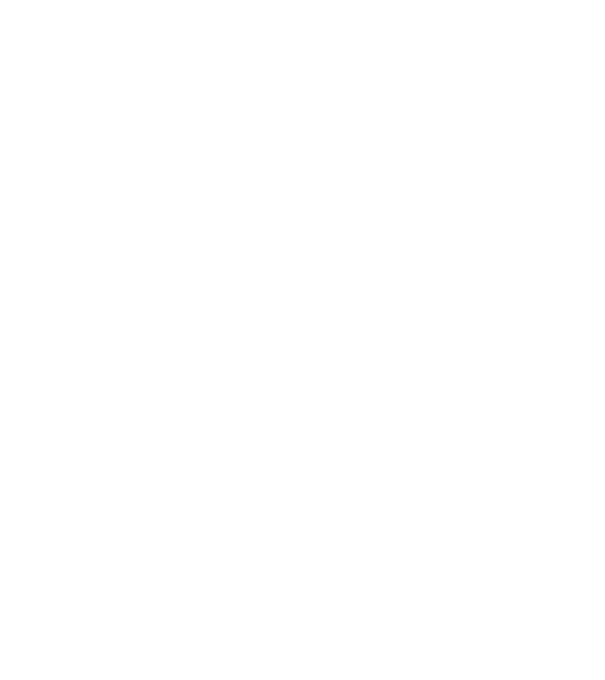 Mr 2 model negru pe tricou