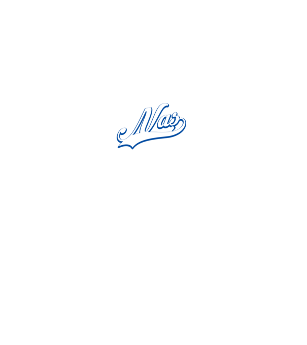 Cel mai bun NAȘ din lume model gri pe tricou