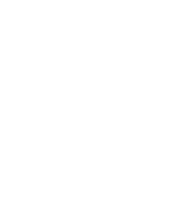 W.I.F.E. model negru pe tricou
