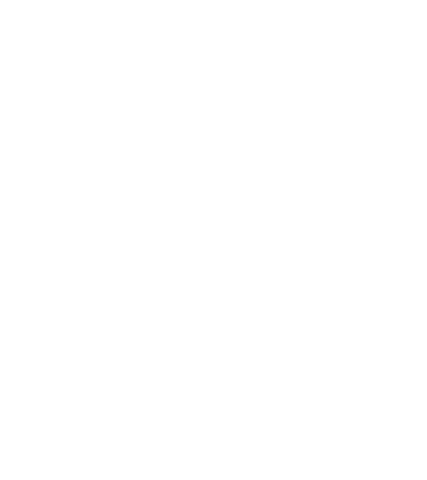 România made in model negru pe tricou
