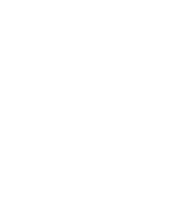 nimeni nu e perfect, dar stăpânii de chivava sunt foarte aproape model negru pe tricou