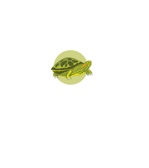 Turtle model negru pe tricou